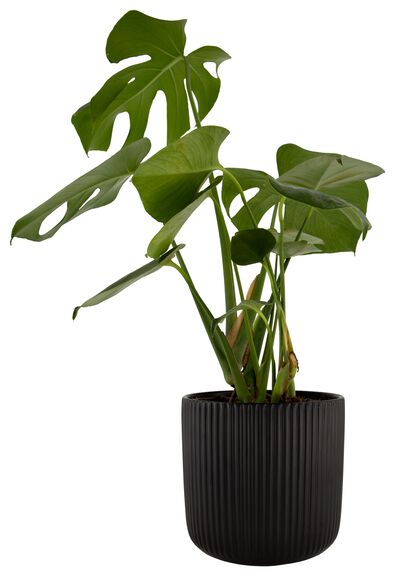 bloempot strepen zwart &Oslash;18.2x18