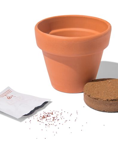 aardbeien in pot &Oslash;9cm