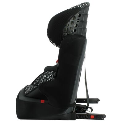 autostoel doorgroei 9-36kg Isofix zwart/witte stip