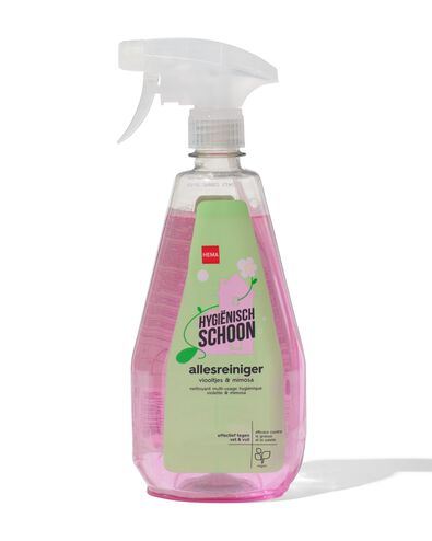 allesreiniger 750ml