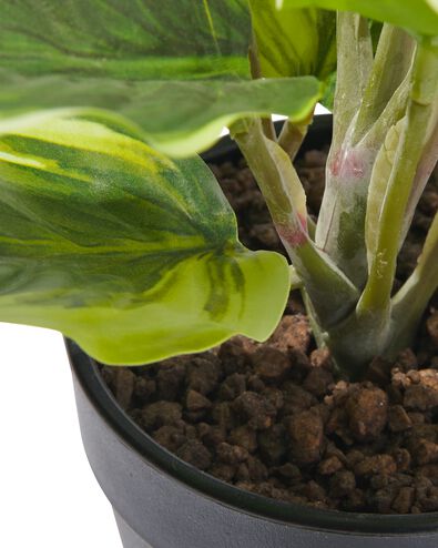 kunstplant dieffenbachia