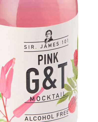 alcoholvrije pink G&T 250ml