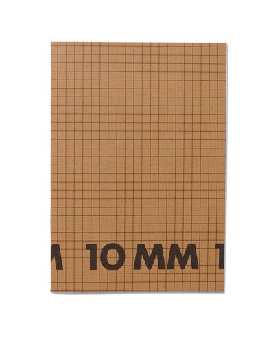 schriften A4 geruit 10 mm - 3 stuks
