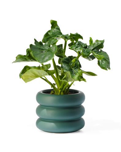 bloempot aardewerk &Oslash;12x13 groen