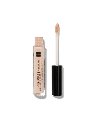 hydrating perfect cover concealer vanilla 06