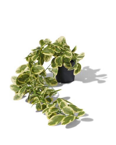 kunstplant maagdenplant