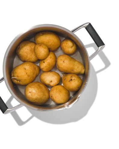 kookpan &Oslash;20cm Milano