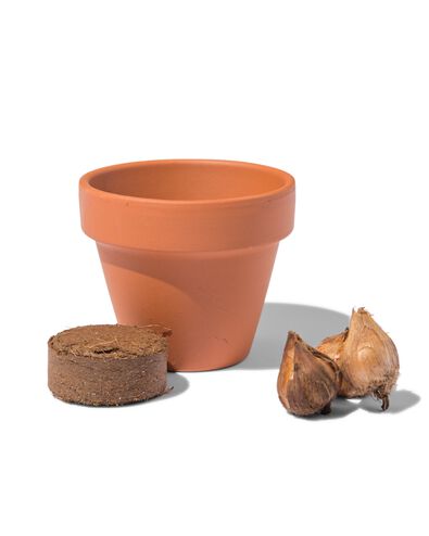 klavertje vier in potje &Oslash;5.5cm