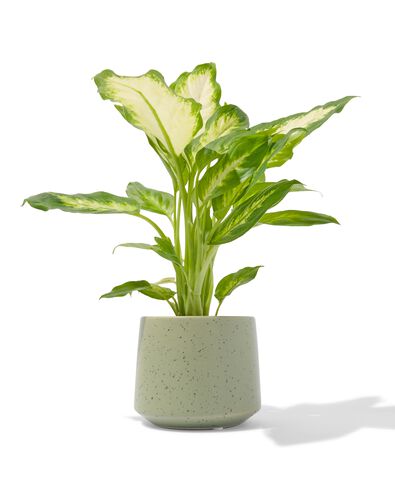 aardewerk bloempot met spikkels &Oslash;10x10
