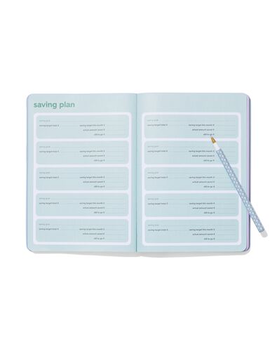 budgetplanner voor 12 maanden 21x15