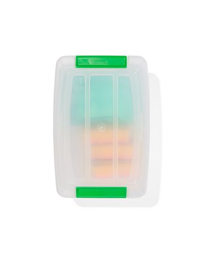 opbergdoos met deksel Rome 5L 28x19.5x14cm groen