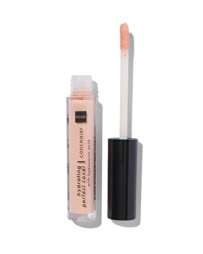hydrating perfect concealer 01 beige