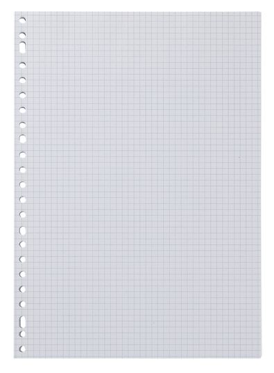 ringbandpapier geruit 5x5mm - 100 stuks