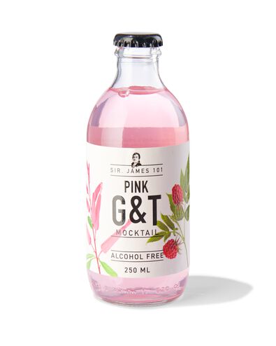 alcoholvrije pink G&T 250ml