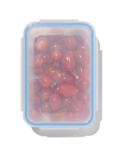 clipdoos 0.7L 18.5x13x5.5