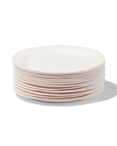 bordjes karton &Oslash;17.5 cm 20 stuks
