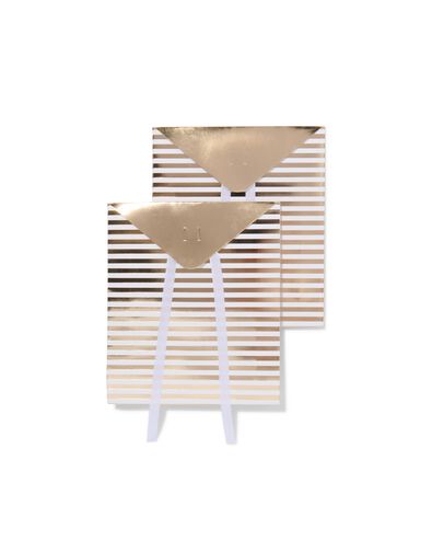 envelop cadeautasjes karton 20.5x18x5 strepen - 2 stuks