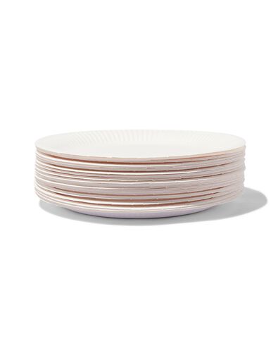 borden karton &Oslash;22.6 cm 20 stuks