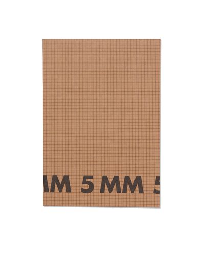 schriften A4 geruit 5 mm - 3 stuks