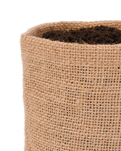 jute groeizak basilicum