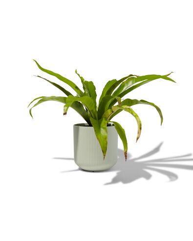 bloempot met ribbels &Oslash;18 groen