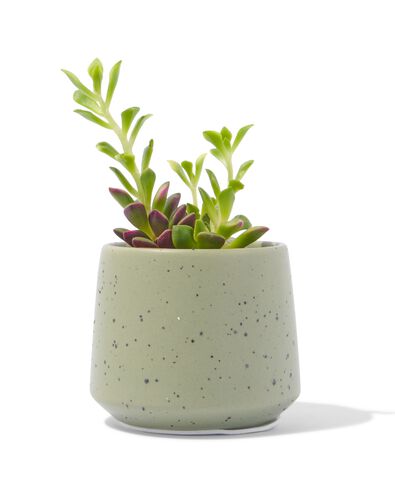 aardewerk bloempot met spikkels &Oslash;6.5x7