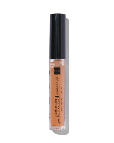 hydrating perfect concealer 03 dark