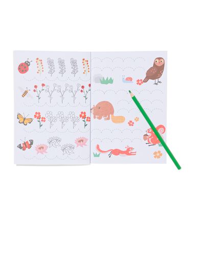 kleur en leerboek ik leer schrijven 5+