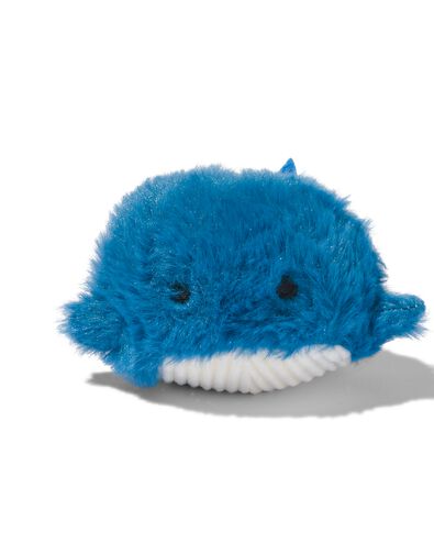 squeezie walvis