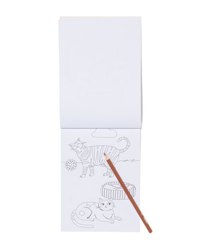 kleurboek met stickers huisdieren 3+