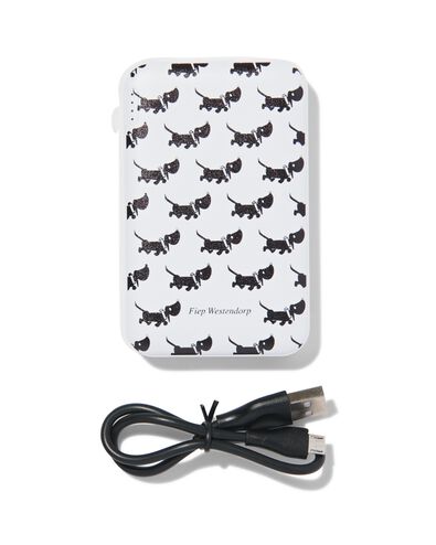 powerbank 5000 mAh Takkie