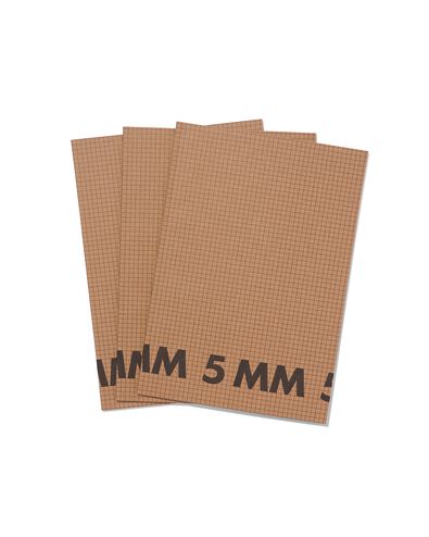 schriften A4 geruit 5 mm - 3 stuks