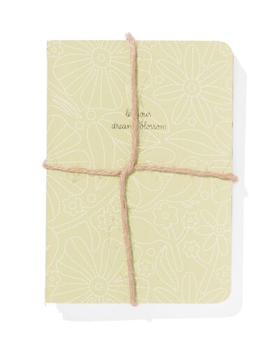 schriften A6 gelinieerd - 3 stuks