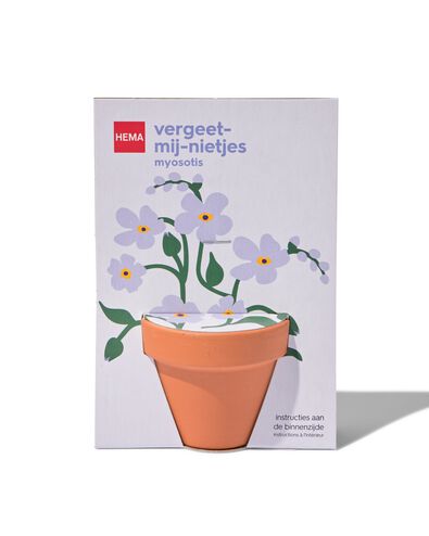 vergeet-mij-nietjes in potje &Oslash;5.5cm