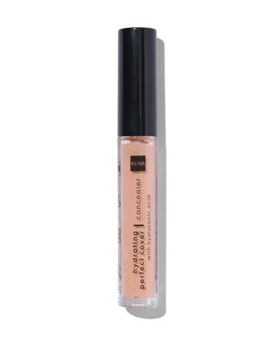 hydrating perfect concealer 02 honey