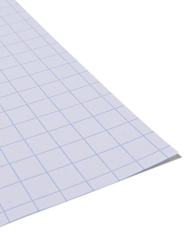 ringbandpapier geruit 10x10mm - 100 stuks