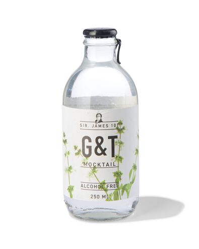 alcoholvrije G&T 250ml