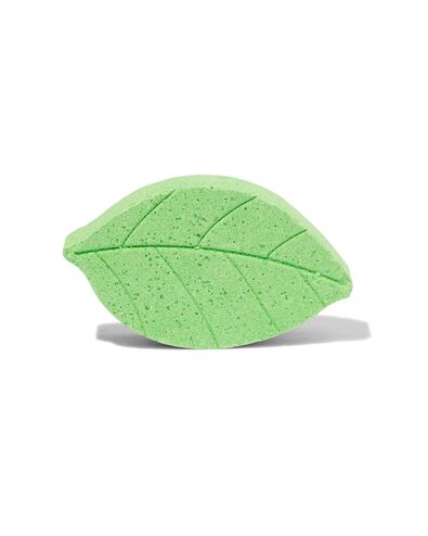 badbruisbal eucalyptus blad