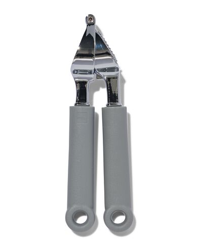 knoflookpers 20cm rvs