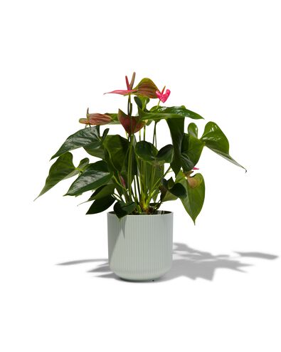 bloempot met ribbels &Oslash;13 groen
