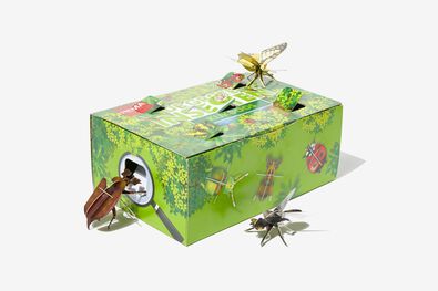 de grote insectenkijkdoos