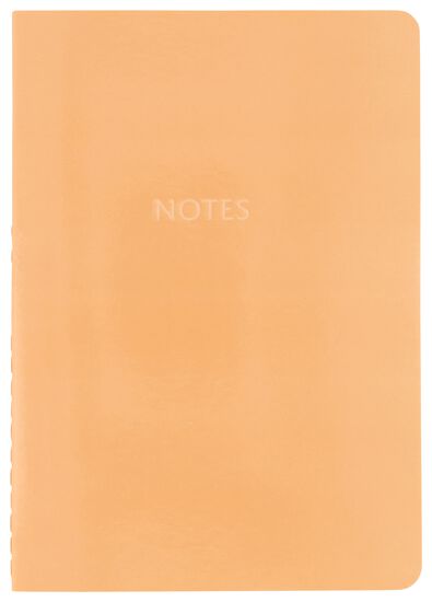 schriften gelinieerd A6 - 7 stuks