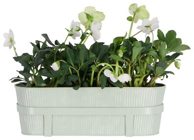 bloembak 13x39x13.5 met balkonhaken groen