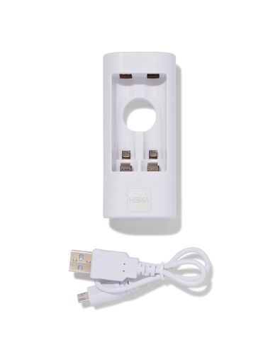 USB batterijlader voor AA of AAA batterijen