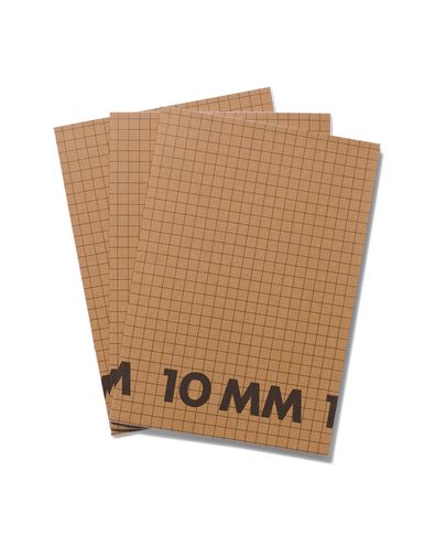 schriften A4 geruit 10 mm - 3 stuks
