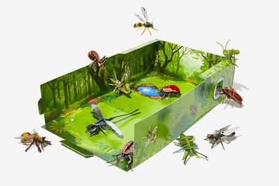 de grote insectenkijkdoos