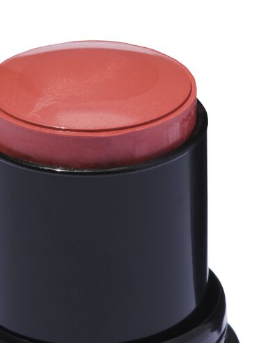 stick lip & cheek brutal brown