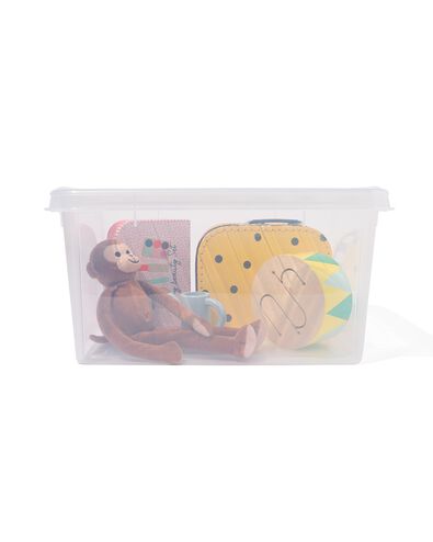 opbergbox 21L London transparant 50x39x18