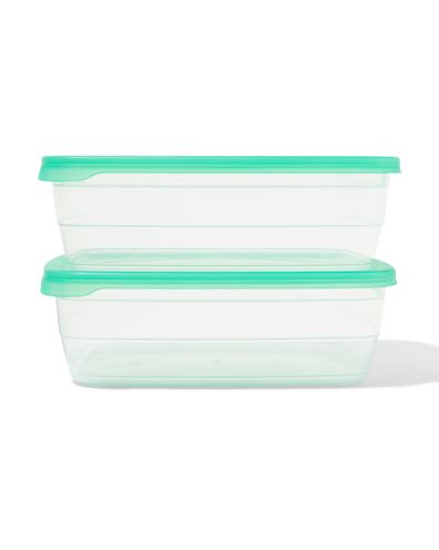 vershoudbakjes 2L - 2 stuks