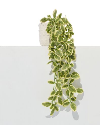 kunstplant maagdenplant
